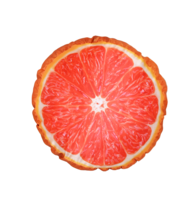 fruits & grapefruit free transparent png image.