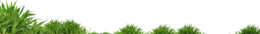 nature & grass free transparent png image.