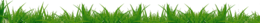 nature & Grass free transparent png image.
