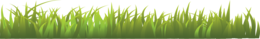 nature & grass free transparent png image.