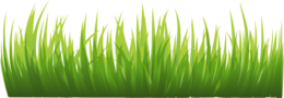 nature & grass free transparent png image.