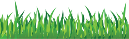 nature & Grass free transparent png image.