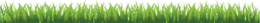 nature & grass free transparent png image.