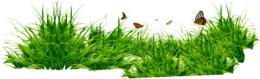 nature & grass free transparent png image.