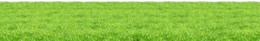 nature & Grass free transparent png image.