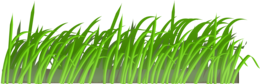 nature & grass free transparent png image.