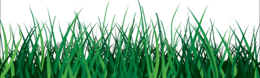 nature & Grass free transparent png image.