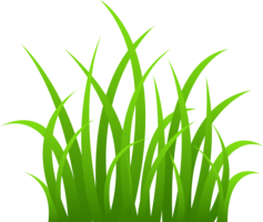 nature & grass free transparent png image.