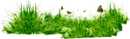 nature & Grass free transparent png image.