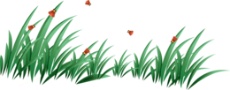 nature & Grass free transparent png image.