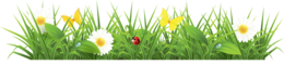 nature & Grass free transparent png image.