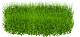 nature & Grass free transparent png image.