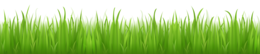 nature & Grass free transparent png image.