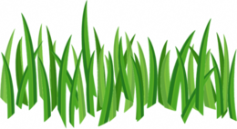 nature & grass free transparent png image.