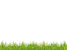 nature & Grass free transparent png image.