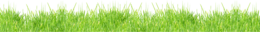 nature & Grass free transparent png image.