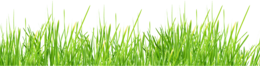 nature & grass free transparent png image.