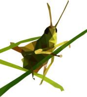 insects & Grasshopper free transparent png image.