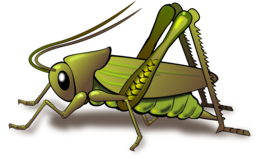 insects & Grasshopper free transparent png image.