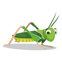 insects & Grasshopper free transparent png image.