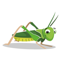 insects & grasshopper free transparent png image.