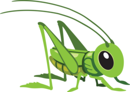 insects & Grasshopper free transparent png image.