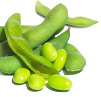 vegetables & Green bean free transparent png image.