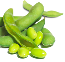 vegetables & green bean free transparent png image.