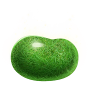 vegetables & Green bean free transparent png image.