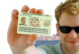 miscellaneous & green card free transparent png image.