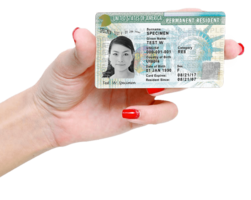 miscellaneous & Green card free transparent png image.