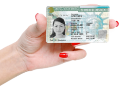 miscellaneous & green card free transparent png image.