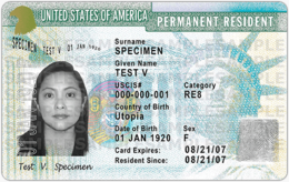 miscellaneous & Green card free transparent png image.