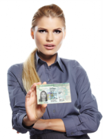 miscellaneous & green card free transparent png image.