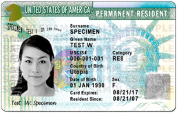 miscellaneous & Green card free transparent png image.