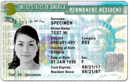 miscellaneous & green card free transparent png image.