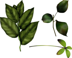 nature & Green leaves free transparent png image.