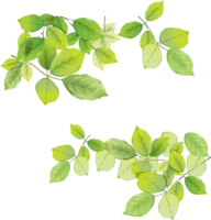 nature & Green leaves free transparent png image.