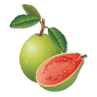 fruits & guava free transparent png image.