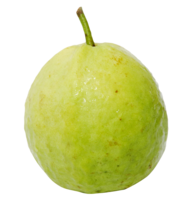 fruits & Guava free transparent png image.