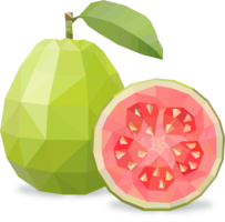 fruits & guava free transparent png image.