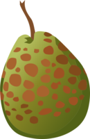 fruits & guava free transparent png image.