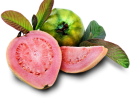 fruits & Guava free transparent png image.