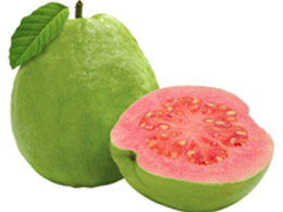 fruits & guava free transparent png image.