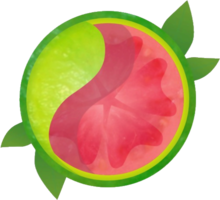 fruits & guava free transparent png image.