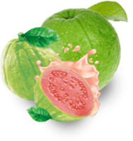 fruits & Guava free transparent png image.