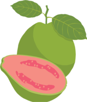 fruits & guava free transparent png image.