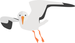 animals & gull free transparent png image.