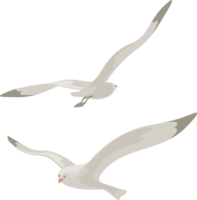 animals & gull free transparent png image.