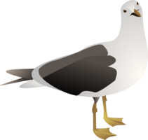 animals & gull free transparent png image.